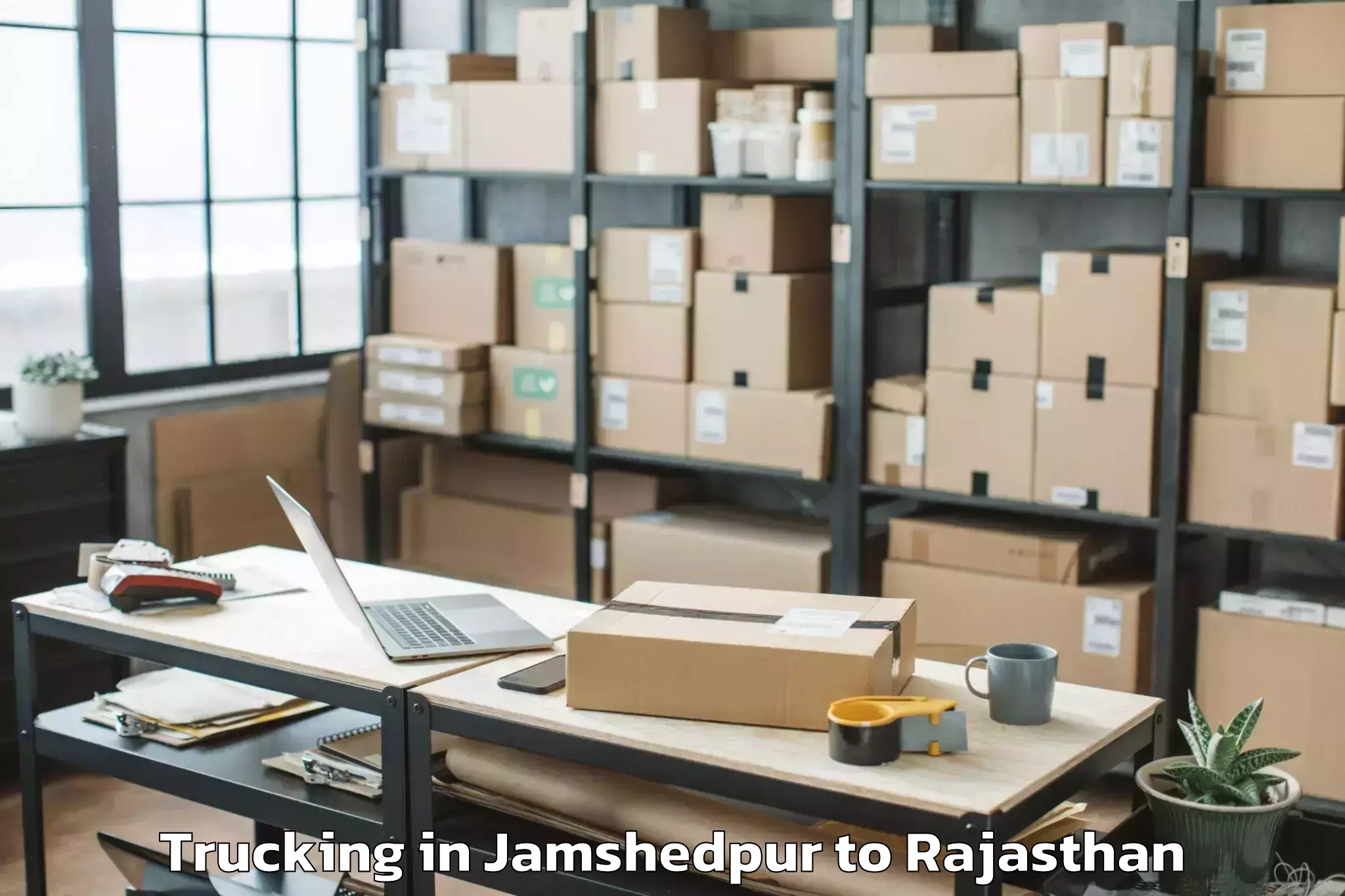 Easy Jamshedpur to Bari Sadri Trucking Booking